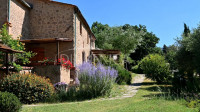 Bellissimo agriturismo con 58 ha di terreno biologico, collina pomarance, pisa