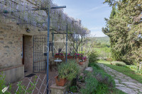 Bellissimo agriturismo con 58 ha di terreno biologico, collina pomarance, pisa
