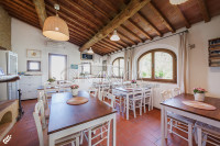 Bellissimo agriturismo con 58 ha di terreno biologico, collina pomarance, pisa