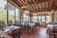 Bellissimo agriturismo con 58 ha di terreno biologico, collina pomarance, pisa