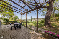 Bellissimo agriturismo con 58 ha di terreno biologico, collina pomarance, pisa