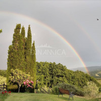 Bellissimo agriturismo con 58 ha di terreno biologico, collina pomarance, pisa