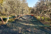 Bellissimo agriturismo con 58 ha di terreno biologico, collina pomarance, pisa