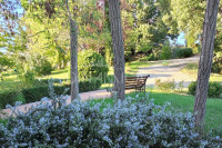 Bellissimo agriturismo con 58 ha di terreno biologico, collina pomarance, pisa