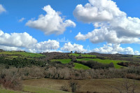 Bellissimo agriturismo con 58 ha di terreno biologico, collina pomarance, pisa