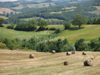Bellissimo agriturismo con 58 ha di terreno biologico, collina pomarance, pisa