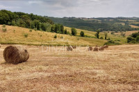 Bellissimo agriturismo con 58 ha di terreno biologico, collina pomarance, pisa