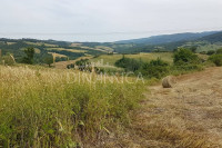 Bellissimo agriturismo con 58 ha di terreno biologico, collina pomarance, pisa