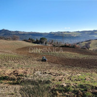 Bellissimo agriturismo con 58 ha di terreno biologico, collina pomarance, pisa