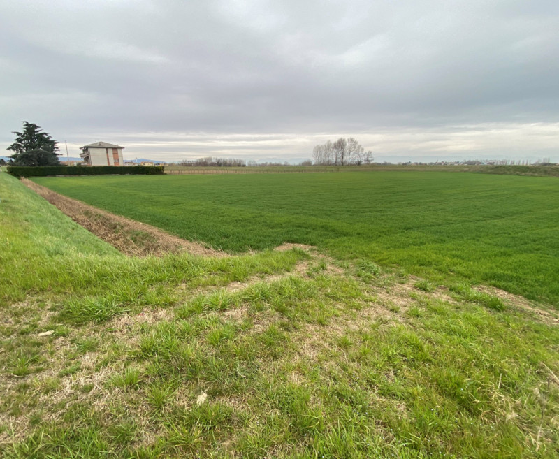 Veggiano, immersa nel verde della campagna Veneta, ma allo stesso tempo, situata a un kilometro d...
