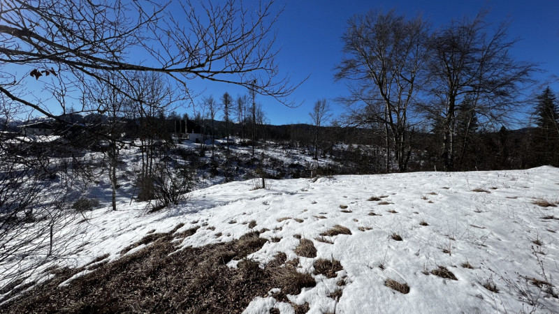 Mq 650

24  | 12 | garage doppio e 2 posti auto   e legnaia annessa

Giardino privato

Rif.: suo4...