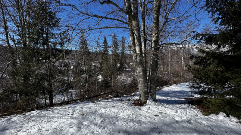 Mq 650

24  | 12 | garage doppio e 2 posti auto   e legnaia annessa

Giardino privato

Rif.: suo4...