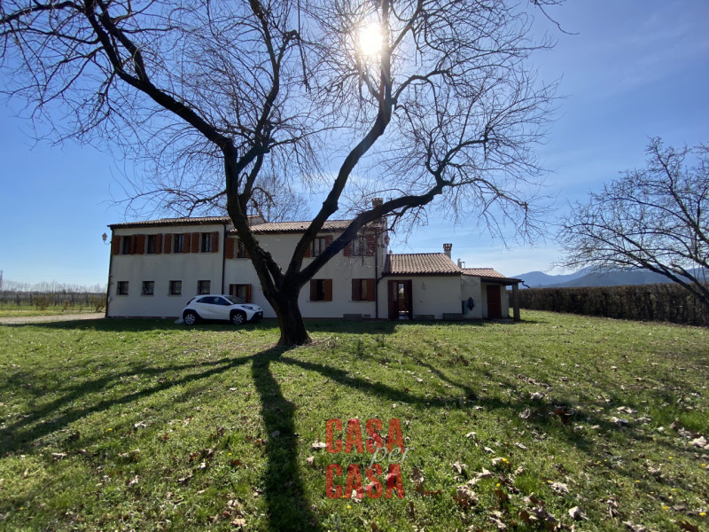 Abano Terme Vendita Rustico rustico di campagna