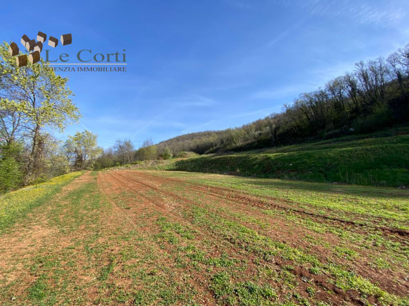 Situato nel comune di Val Liona/Villaga, proponiamo in vendita un appezzamento di terreno in zona...