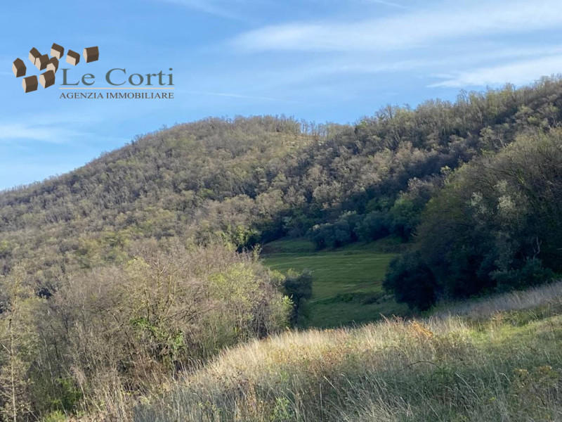 Situato nel comune di Val Liona/Villaga, proponiamo in vendita un appezzamento di terreno in zona...