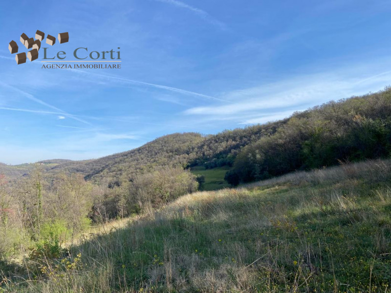 Situato nel comune di Val Liona/Villaga, proponiamo in vendita un appezzamento di terreno in zona...