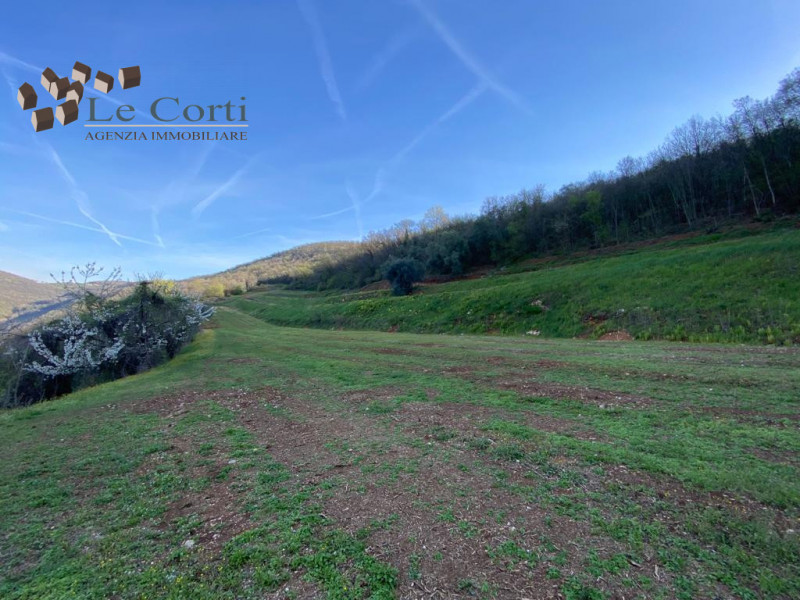Situato nel comune di Val Liona/Villaga, proponiamo in vendita un appezzamento di terreno in zona...