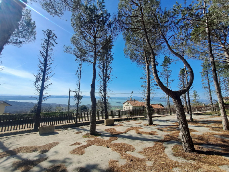 Lisciano Niccone Vendita Rustico chalet