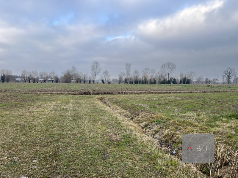 Situata nella frazione di Paviola, casa singola composta di: ingresso, cucina-pranzo, soggiorno, ...