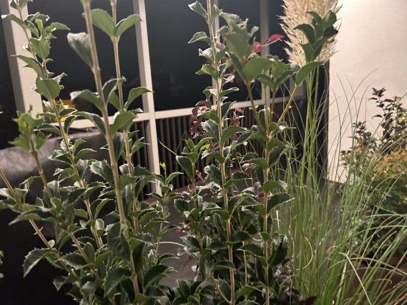 Proponiamo in vendita signorile appartamento in un contesto residenziale di prestigio, a pochi pa...