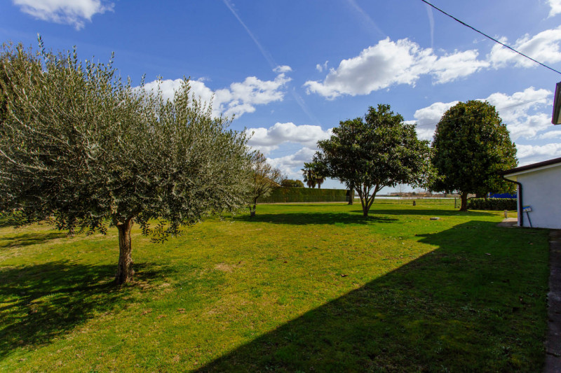 Vendesi abitazione singola con ampio giardino in comune di Pernumia.
La proprietà è composta da d...