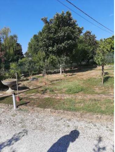 RIF. A.A.386-218

Vendita all'asta - bifamiliare in data 29 gennaio 2026

Descrizione immobili : ...