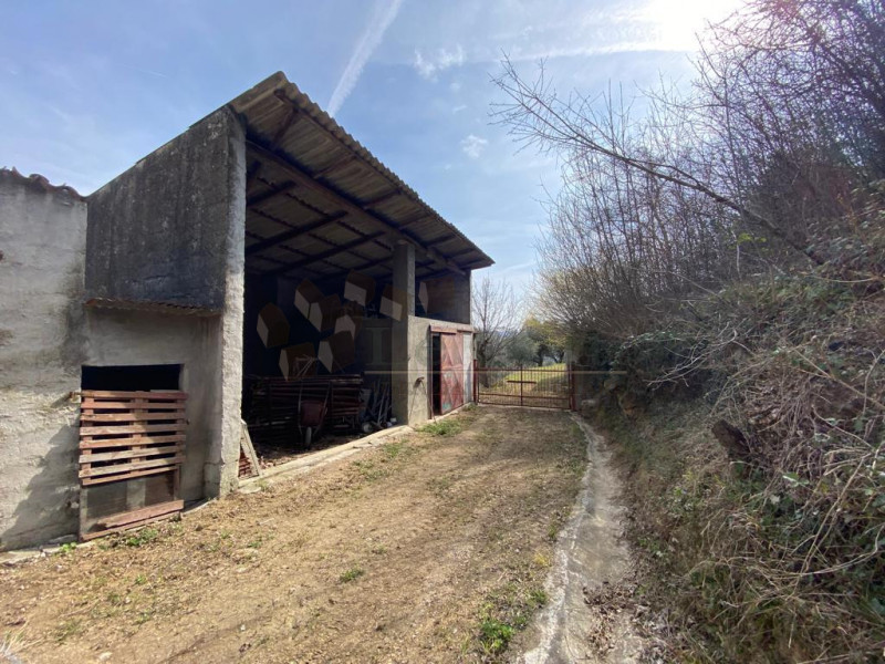 In posizione collinare, immersa nel verde proponiamo abitazione singola da ristrutturare con anne...