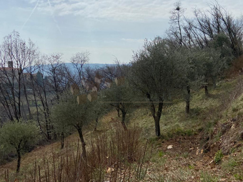 In posizione collinare, immersa nel verde proponiamo abitazione singola da ristrutturare con anne...
