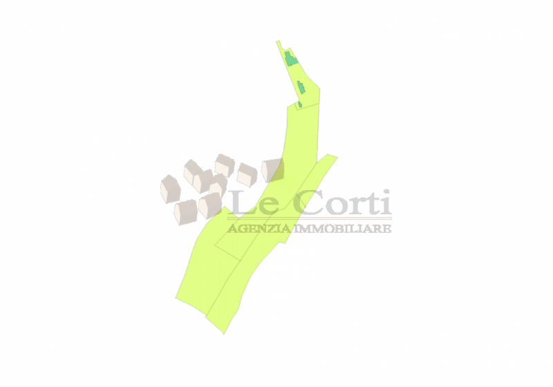 In posizione collinare, immersa nel verde proponiamo abitazione singola da ristrutturare con anne...