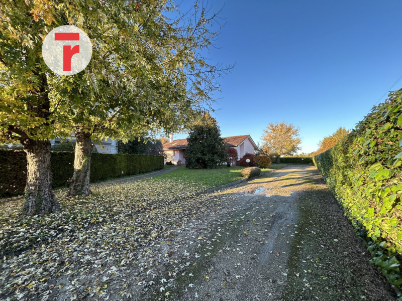 Vigodarzere Centro - In zona comoda a tutti i servizi del quartiere come farmacia, supermercati, ...