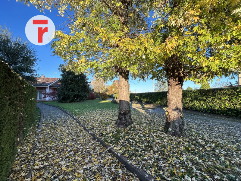 Vigodarzere Centro - In zona comoda a tutti i servizi del quartiere come farmacia, supermercati, ...