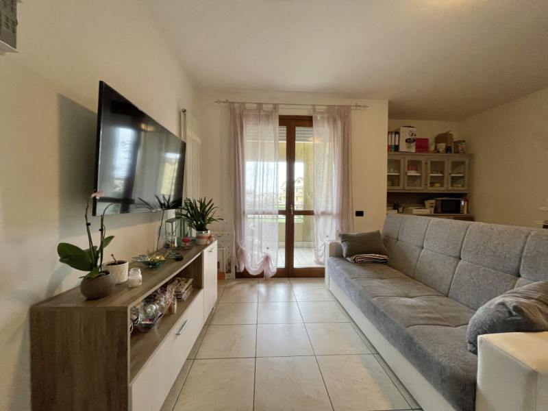 Solesino Affitto Appartamento