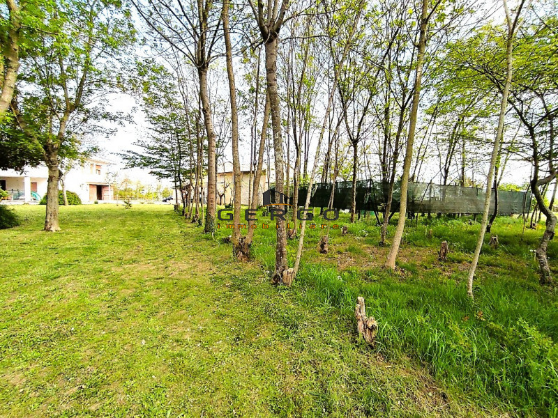 (Per INFO Mattias 3494222146) A Pramaggiore, in piena zona doc Lison - Pramaggiore, si propone in...