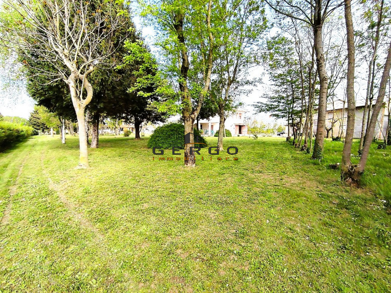 (Per INFO Mattias 3494222146) A Pramaggiore, in piena zona doc Lison - Pramaggiore, si propone in...