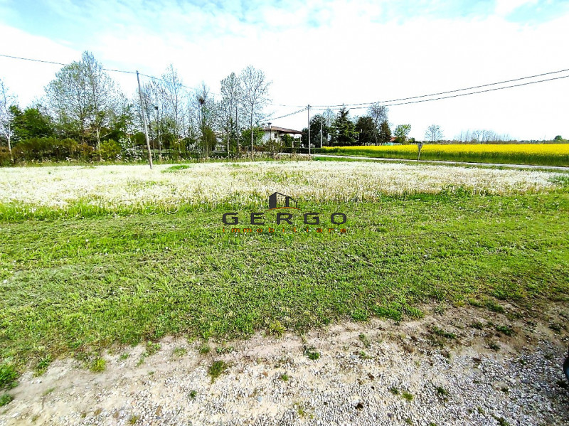 (Per INFO Mattias 3494222146) A Pramaggiore, in piena zona doc Lison - Pramaggiore, si propone in...