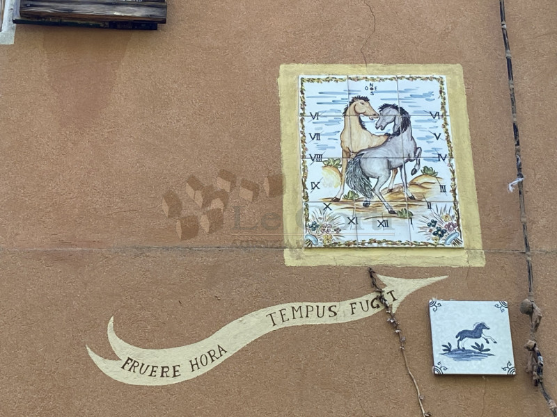 Scopri questa bella proprietà rustica situata nel cuore di un incantevole borgo collinare a Sareg...