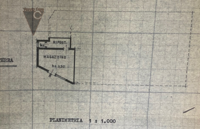 PONTE DI BRENTA - NEGOZIO
Proponiamo alle porte di Padova, in zona interna in contesto alberato, ...