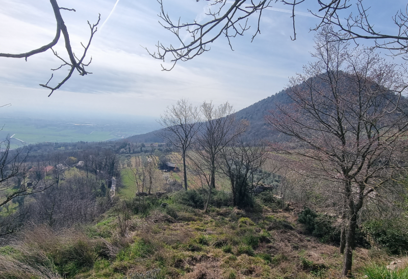 Rif. RU50 - Per chi vuole vivere immerso nella natura restando a pochi minuti dai servizi, propon...