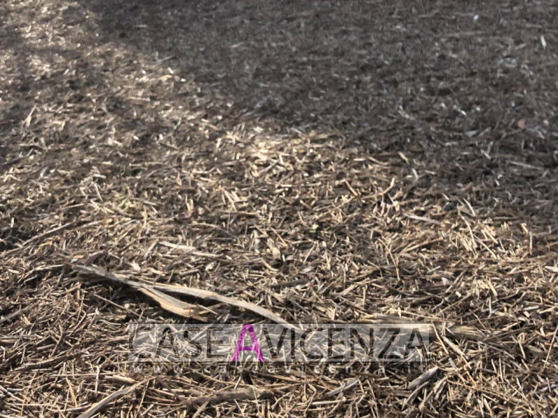 GRISIGNANO DI ZOCCO - LOTTO DI TERRENO EDIFICABILE - 5400 MQ con possibilità di edificazione di t...