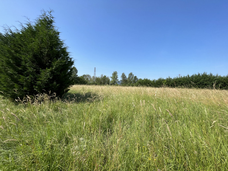 TEOLO, località San Benedetto/Selve, immerso nel meraviglioso mondo della campagna veneta, con sp...