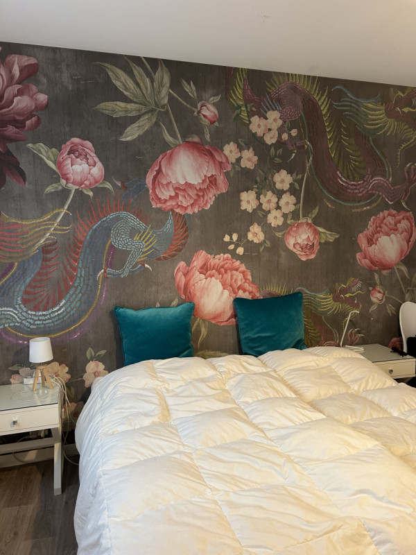 PRATO DELLA VALLE -  AFFITTASI APPARTAMENTO IN PRATO DELLA VALLE SITO ALL'INTERNO DI IN CONTESTO ...