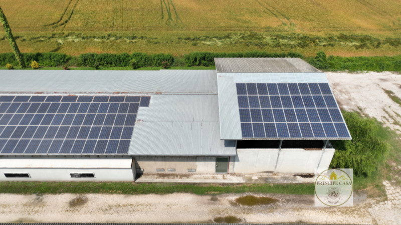 Zona Motta proponiamo in vendita stabilimento adibito per uso allevamento di circa mq 1490. E' in...