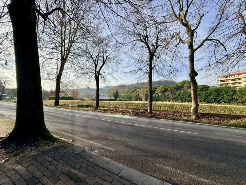 MONTEGROTTO TERME - In una splendida zona verde e tranquilla di Montegrotto Terme, a pochi minuti...