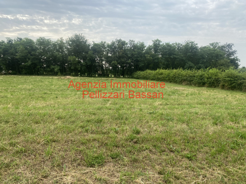 Nervesa della Battaglia: se sei alla ricerca di un terreno dove poter costruire la tua casa dei s...