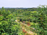 Antica fattoria in tipico borgo toscano, collina pisa