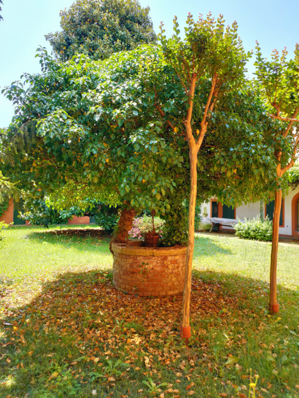 A Sedegliano, sulla direttrice Tarvisio-Grado,  importante costruzione padronale, ex azienda agri...