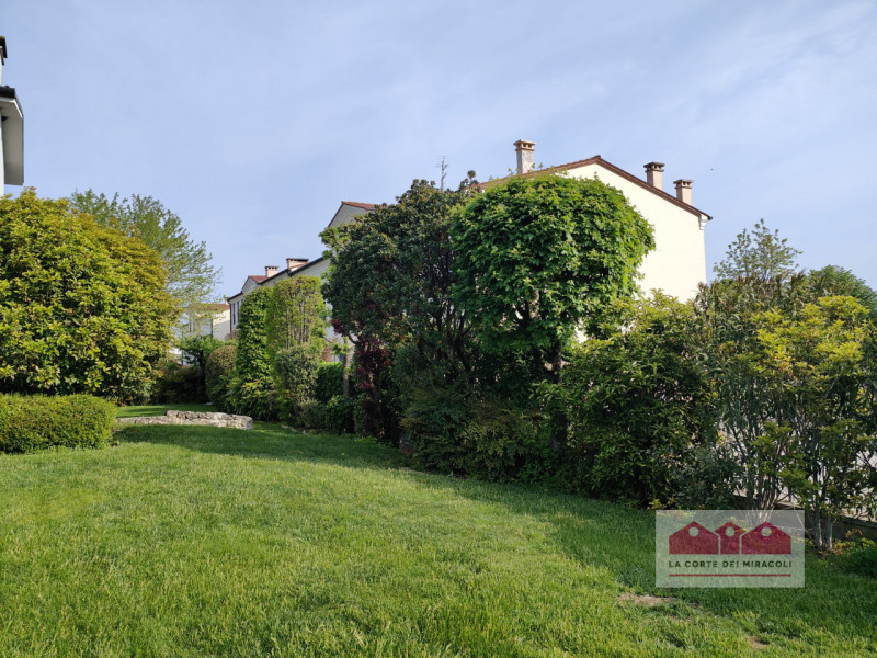 COSTOZZA DI LONGARE: SPLENDIDA SCHIERA DI TESTA IN POSIZIONE TRANQUILLA CIRCONDATA DALLE COLLINE....