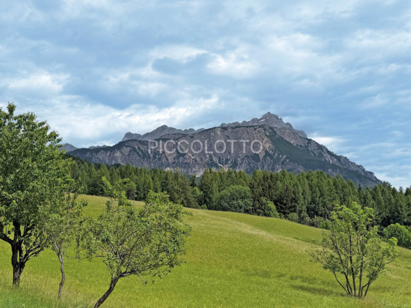 Rif. A4913 n.1 - DISPONIBILE PER LA STAGIONE ESTIVA 2026


Cortina d'Ampezzo - in posizione panor...