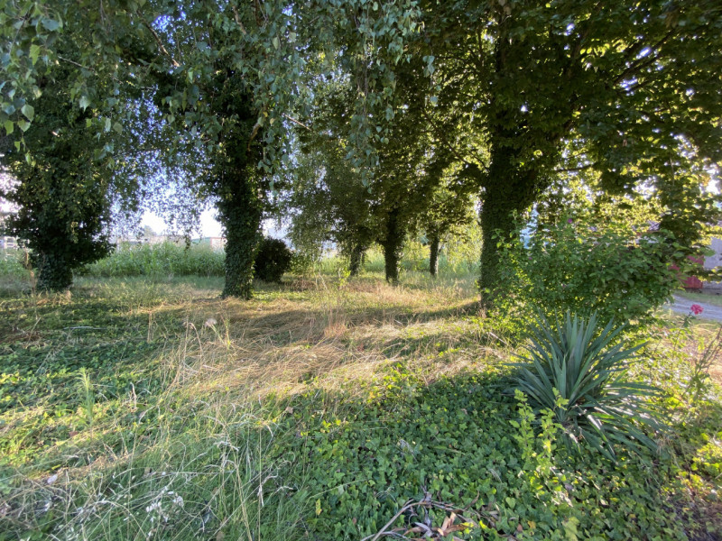 MONTAGNANA, Borgo san Zeno: in zona comodissima alla SR10 e a pochi minuti dal centro di Montagna...