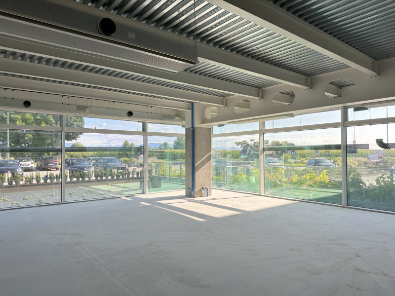 (Per INFO Roberto 3453195338) A San Martino di Lupari, sulla Strada Statale 53 che collega Vicenz...